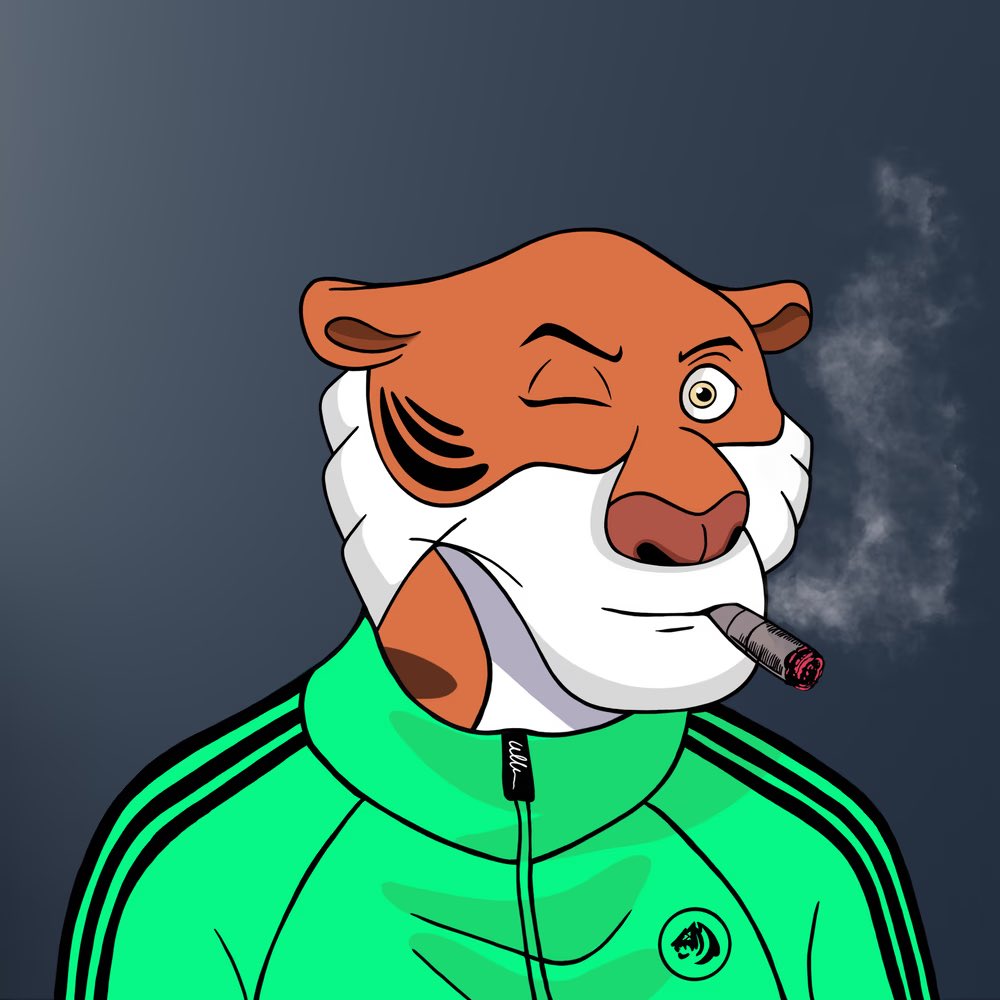 Tycoon Tigers tweet media