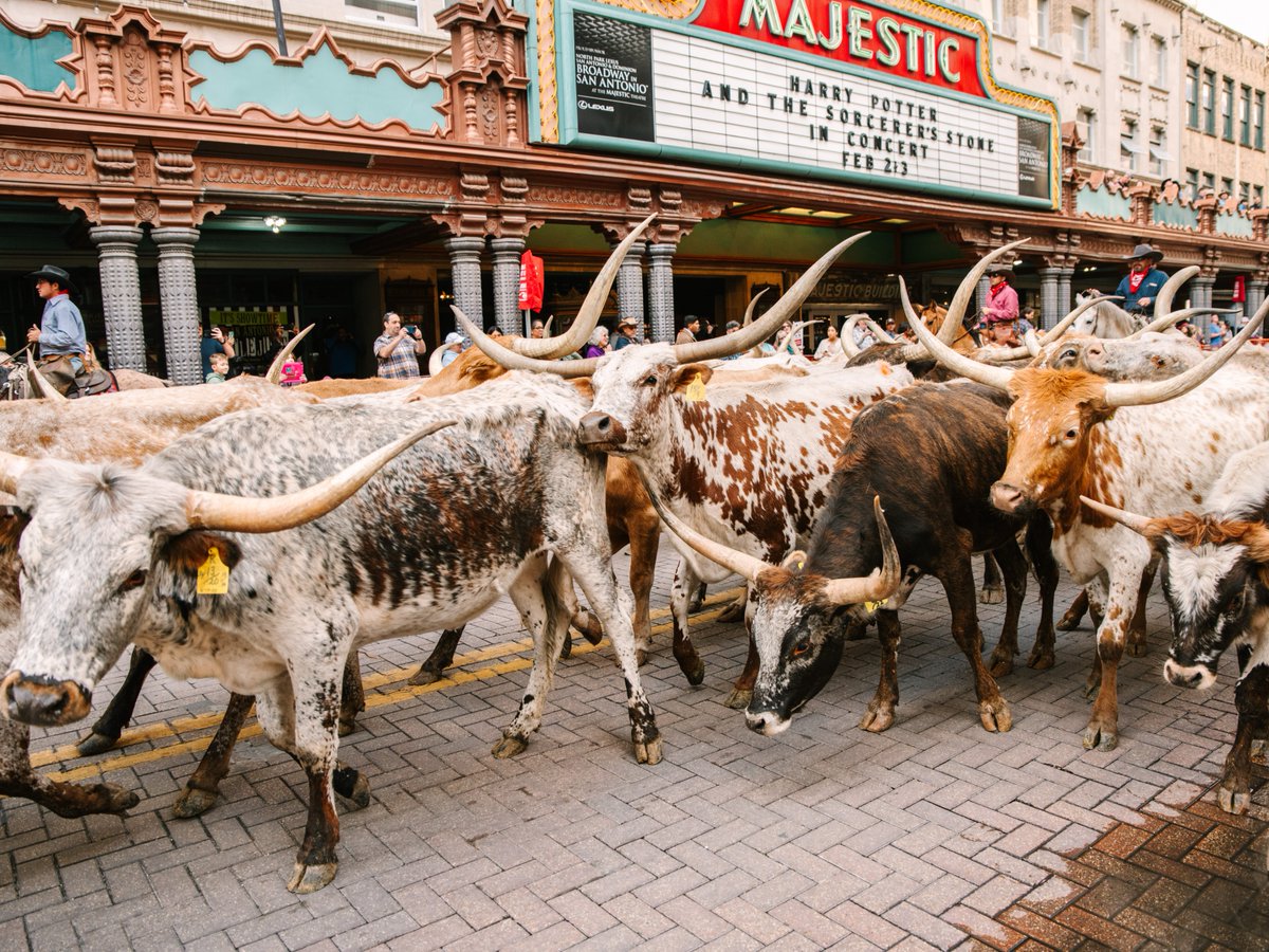 Visit San Antonio tweet media