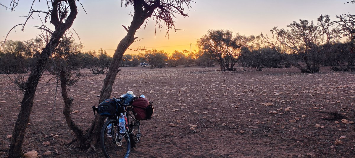 Dave Roe tweet media