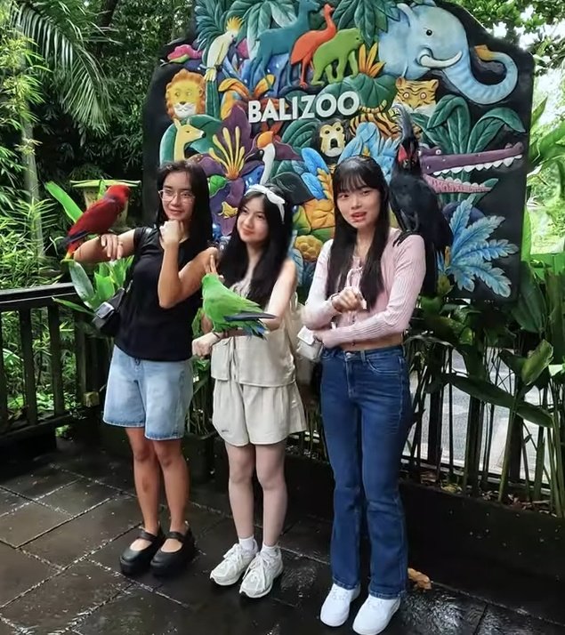 novalfadil only anin tweet media