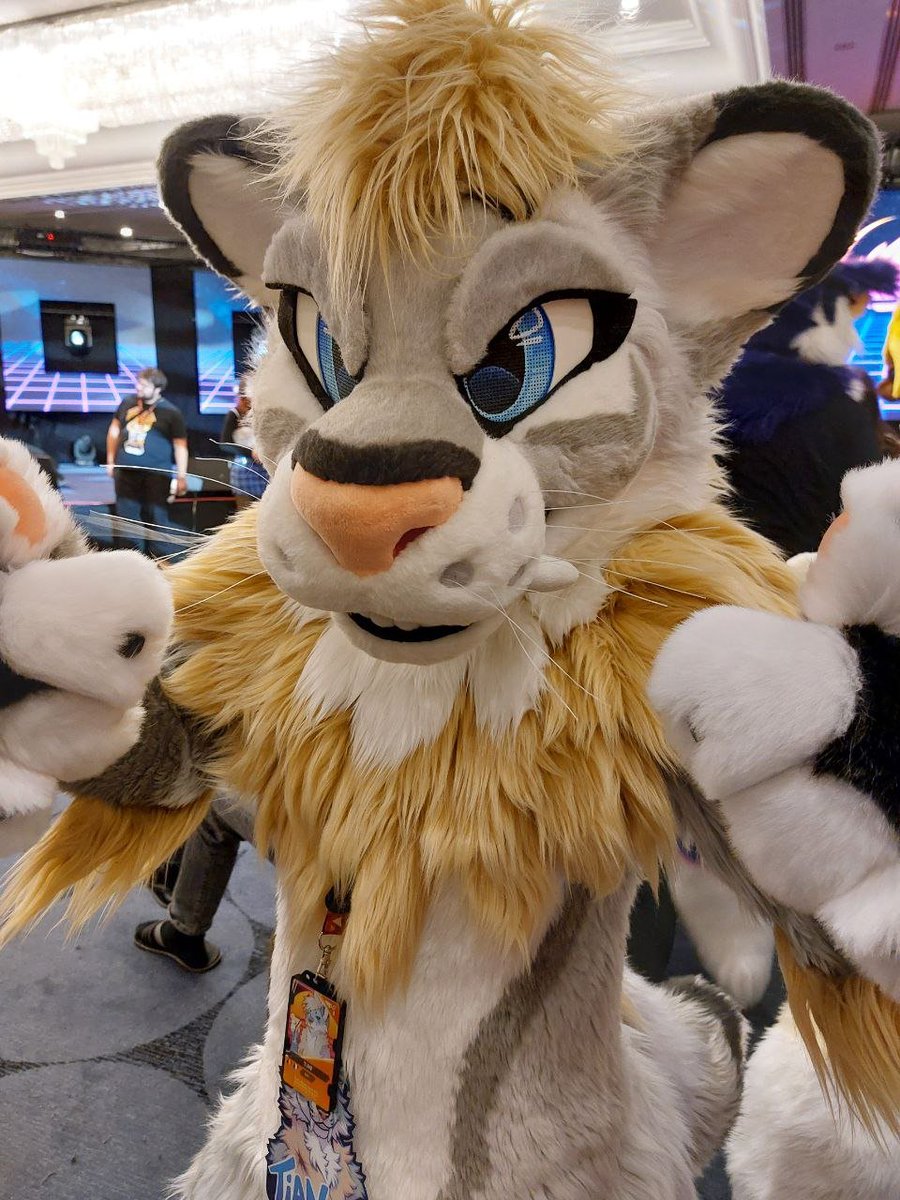 TianSabertooth's tweet photo. You can't be mad on me just because I forget #FursuitFriday 2 weeks in a row ok ?!

🪡 @nukecreations 
📸 SaPhiron https://t.co/DMP26mN3a7