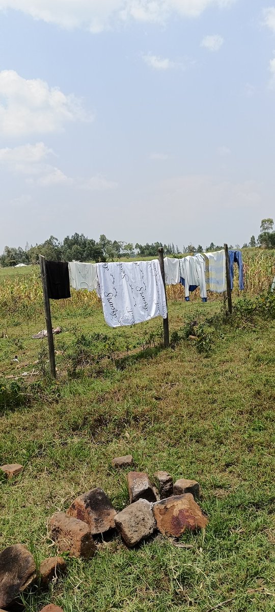 KPL Women Articulation (@kpl_women) on Twitter photo <a href="/KPL_Women/">KPL Women Articulation</a> we continue to ensure that victims of land grabbing and violence have a safe space to stay . We continue with our work of ending violence against women in 2025
<a href="/PeasantsLeague/">Kenyan Peasants League</a> <a href="/1000currents/">Thousand Currents</a> @BlackFemFund <a href="/Owiti1Susan/">Susan Owiti1</a> <a href="/AworiJudith/">Judieth</a> <a href="/MildredMunubi/">Mildred Munubi</a> <a href="/KPL_Women/">KPL Women Articulation</a> we continue to ensure that victims of land grabbing and violence have a safe space to stay . We continue with our work of ending violence against women in 2025
<a href="/PeasantsLeague/">Kenyan Peasants League</a> <a href="/1000currents/">Thousand Currents</a> @BlackFemFund <a href="/Owiti1Susan/">Susan Owiti1</a> <a href="/AworiJudith/">Judieth</a> <a href="/MildredMunubi/">Mildred Munubi</a>