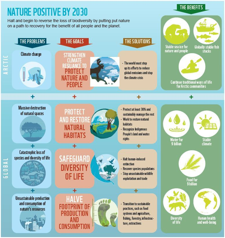 UNBiodiversity's tweet photo. What is a way to protect the diversity of life?

The variety of ecosystems feed people, enhance health &amp; help shield us from environmental disasters. But #ClimateChange are straining these ecosystems
Here are solutions to put nature on the path to recovery.🌳
#ForNature
Via @WWF https://t.co/1ILBENxez3