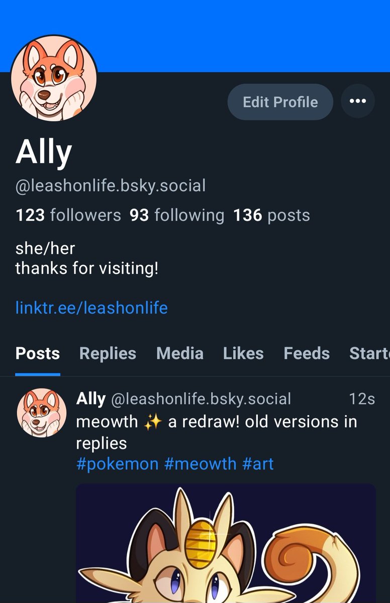 ally tweet media