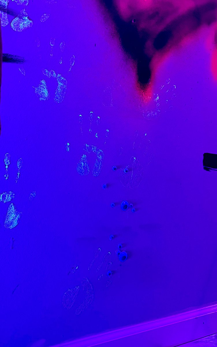 uvnoir's tweet photo. feel like the wall googly eyes and slightly terrifying fake bird really drive home how sane and normal i am https://t.co/I5n2yh4hjY
