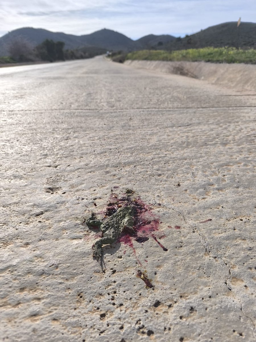 Salvemos Calblanque tweet media