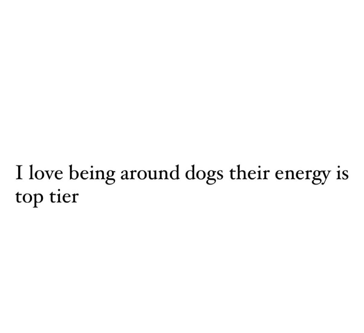 dogtv's tweet photo. Dogs have the best vibes @dogquotepage

#DOGTV #tvfordogs #DogQuotes https://t.co/vXORt4lRCu