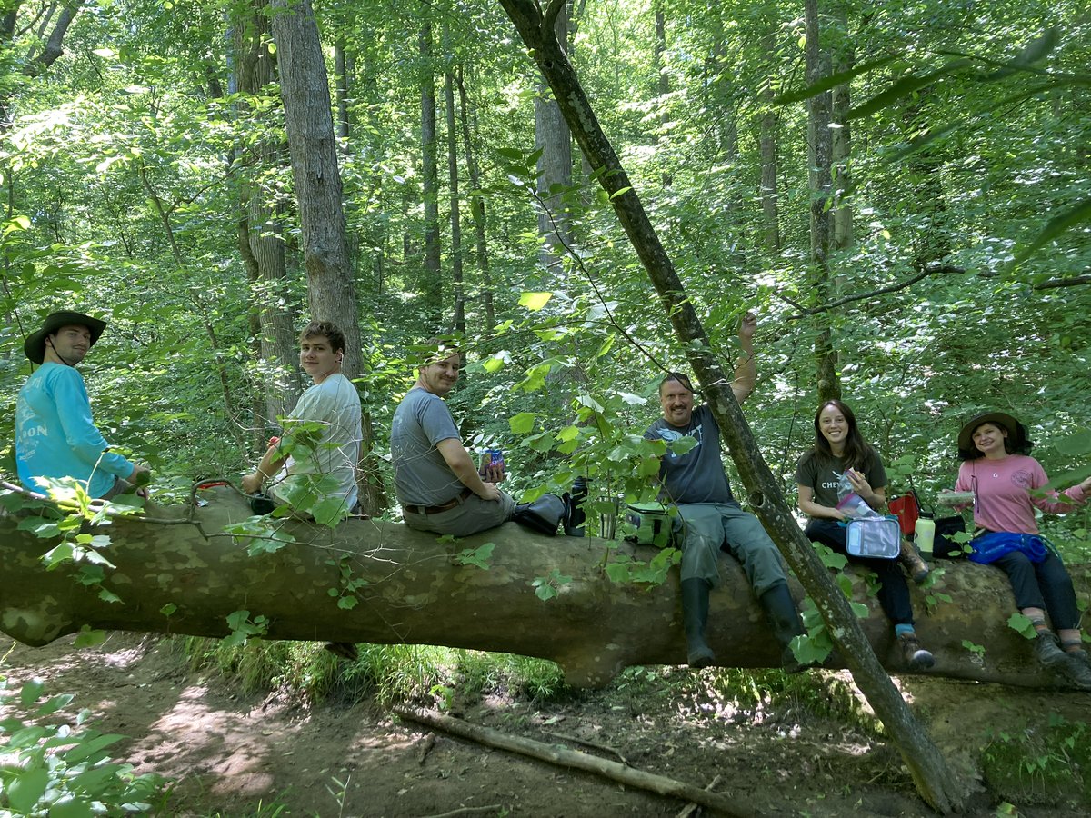 ForestGEO tweet media