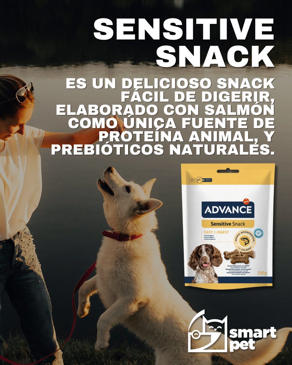 smartpet tweet media