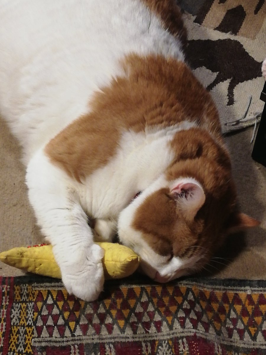 Gus loves his nana !