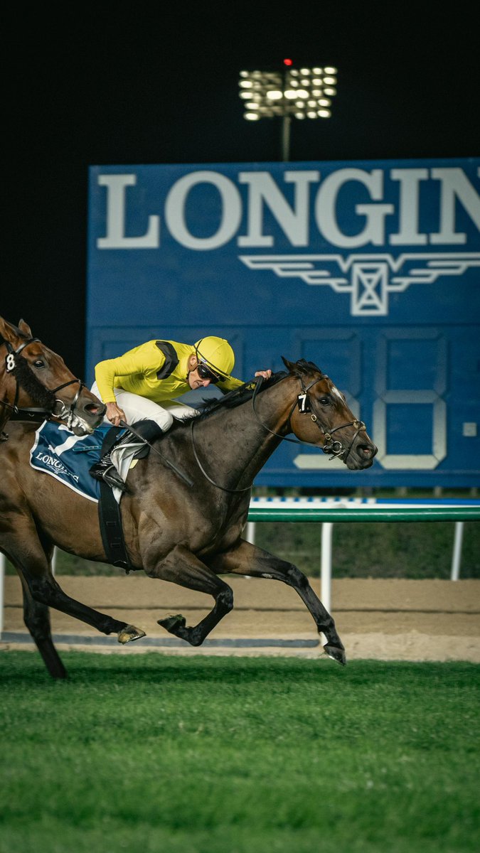 ARM__Racing's tweet photo. Group 3 Al Khail Trophy Winer KEFFAAF 💛✨ https://t.co/2R9AQJWOed