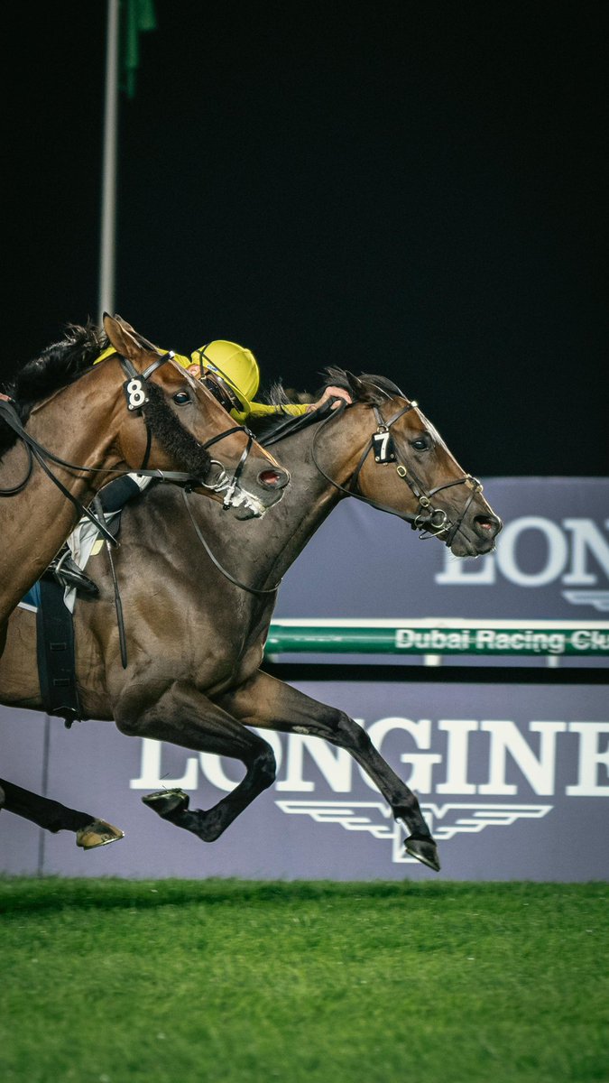 ARM__Racing's tweet photo. Group 3 Al Khail Trophy Winer KEFFAAF 💛✨ https://t.co/2R9AQJWOed