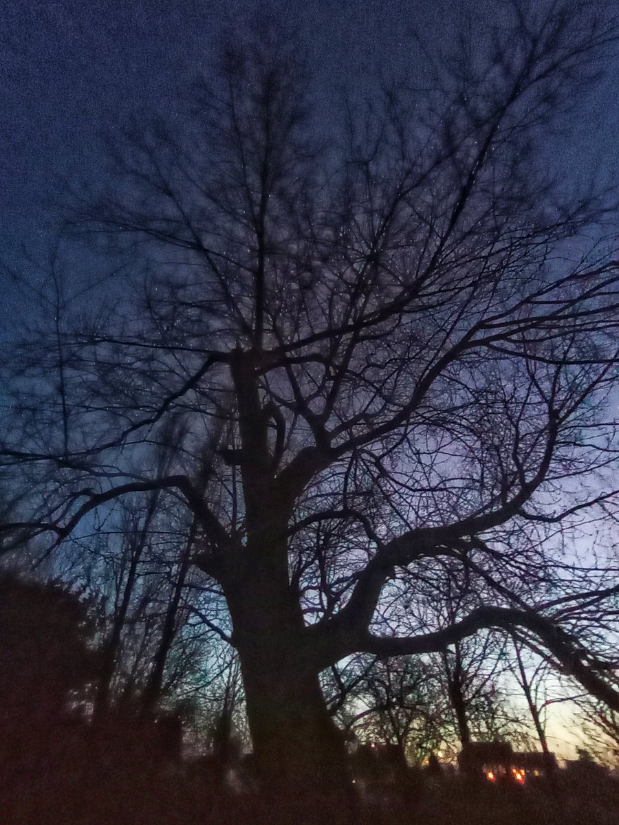 After the gale
still blowly 
but fresh and clear
the lights were off
down the lane 
the last of the 
blue day 
reflected in 
melt water and 
rain
by the lake 
the fishermen had
lit a fire
smoke and mirrors