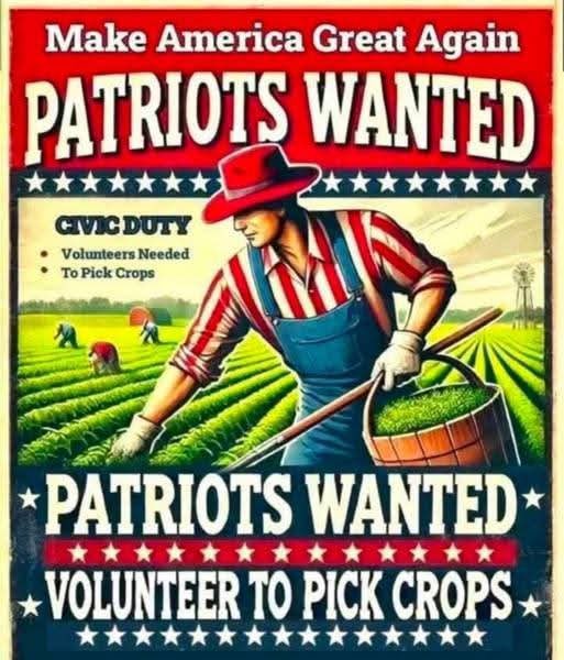 jayleenuh's tweet image. Patriots, the fields are calling