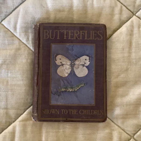 prtygal777's tweet photo. In love with these Book Covers https://t.co/PaXEneKZHU