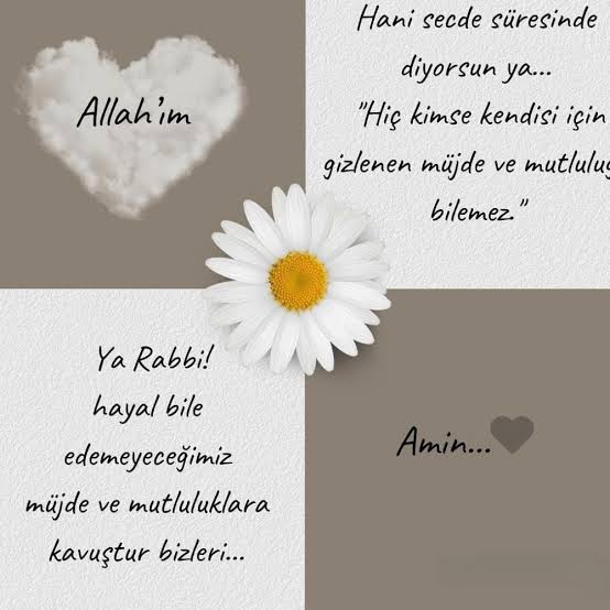 frida3336's tweet photo. İyi geceler olsun dostlar 🙋 https://t.co/N43AcBrG7y