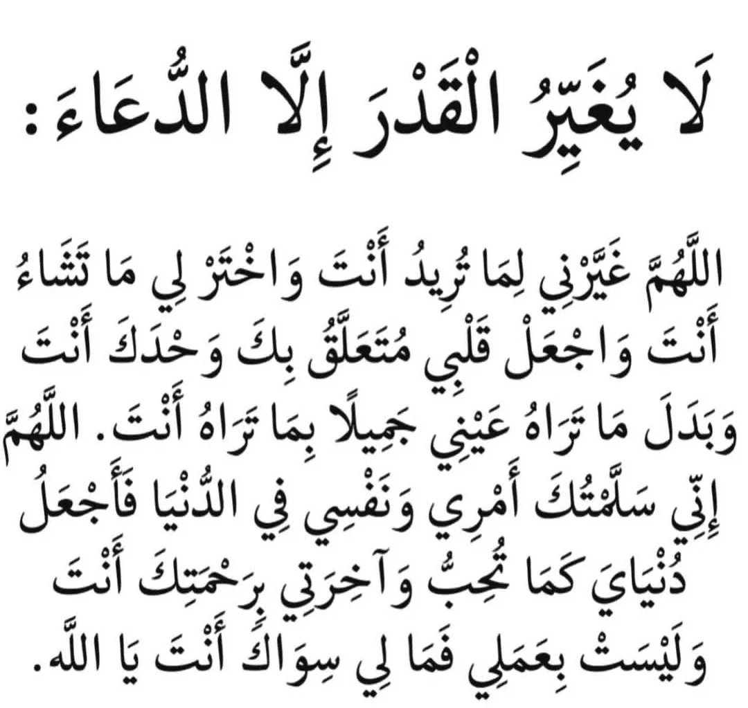 147asma's tweet image. 