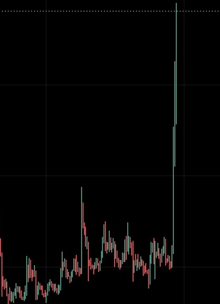 $SHIB KNIGHT tweet media