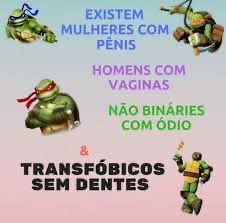 odaradeverdade's tweet photo. ✨ Janeiro é mês da visibilidade trans ✨ https://t.co/F8E2gLQ1lS