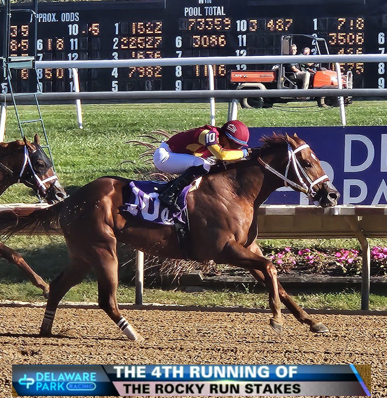 Racing Stats & Info tweet media