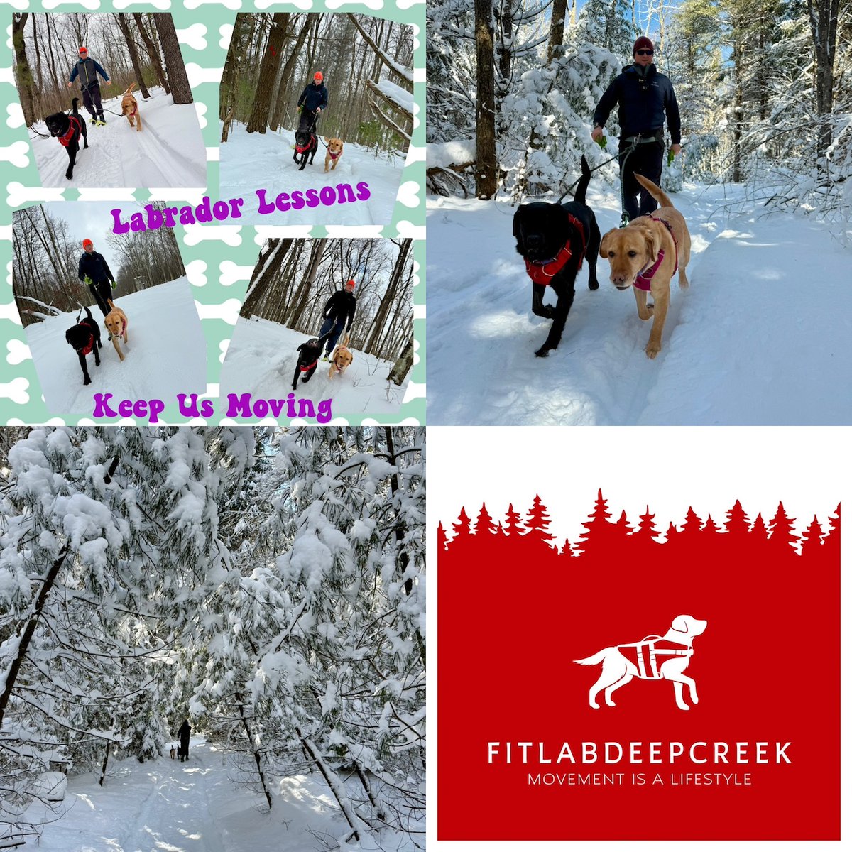 FitLabDeepCreek tweet picture