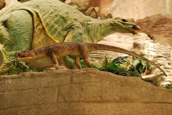 皆んなもっと恐竜時代の陸棲ワニ形類に注目してくれーーー！！！白亜紀