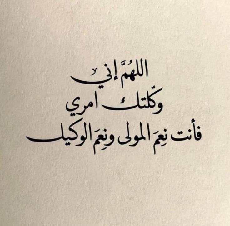ta_hanida's tweet photo. https://t.co/ZStXYCkppS