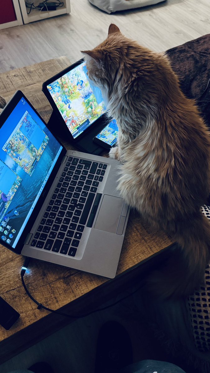 AllyAgainstHate's tweet photo. #TechCat https://t.co/MxccIn5qGw