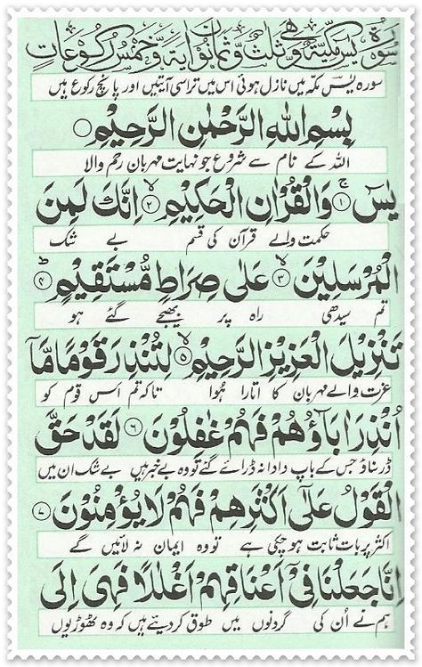 syeda_aresh's tweet photo. ❣️السَّــلاَمُ عَلَيكُــم وَرَحمَــةُ اللهِ وَبَرَكـَاتُهُ
ایمان بخیر
#سیده_عریش https://t.co/iNAuIxzXnO
