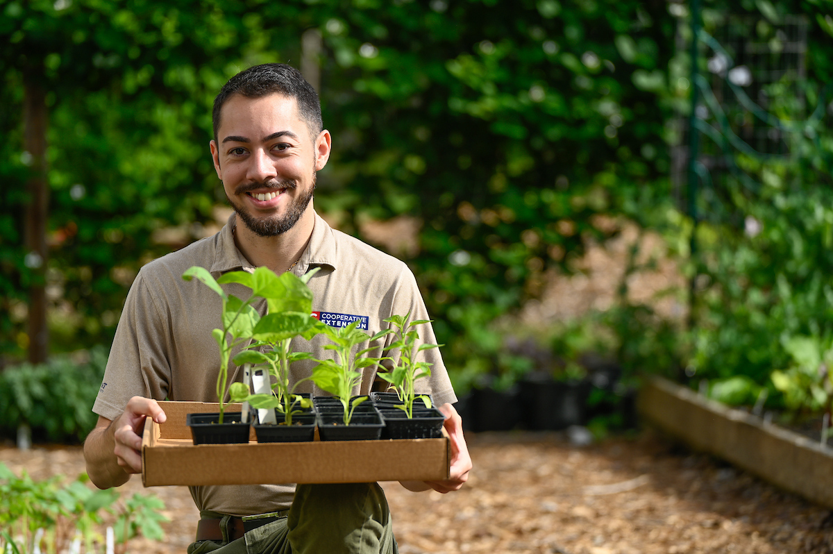 Joseph_GoPack's tweet photo. A paid summer internship with @NCExtension helps college students prepare for rewarding careers! Improve the lives of people and serve local communities! Applications for our 40 internships due February 21! https://t.co/OaFGO2boe0 #JobOpening #HIRINGNOW  #CareerOpportunity https://t.co/TcEP8GBigR
