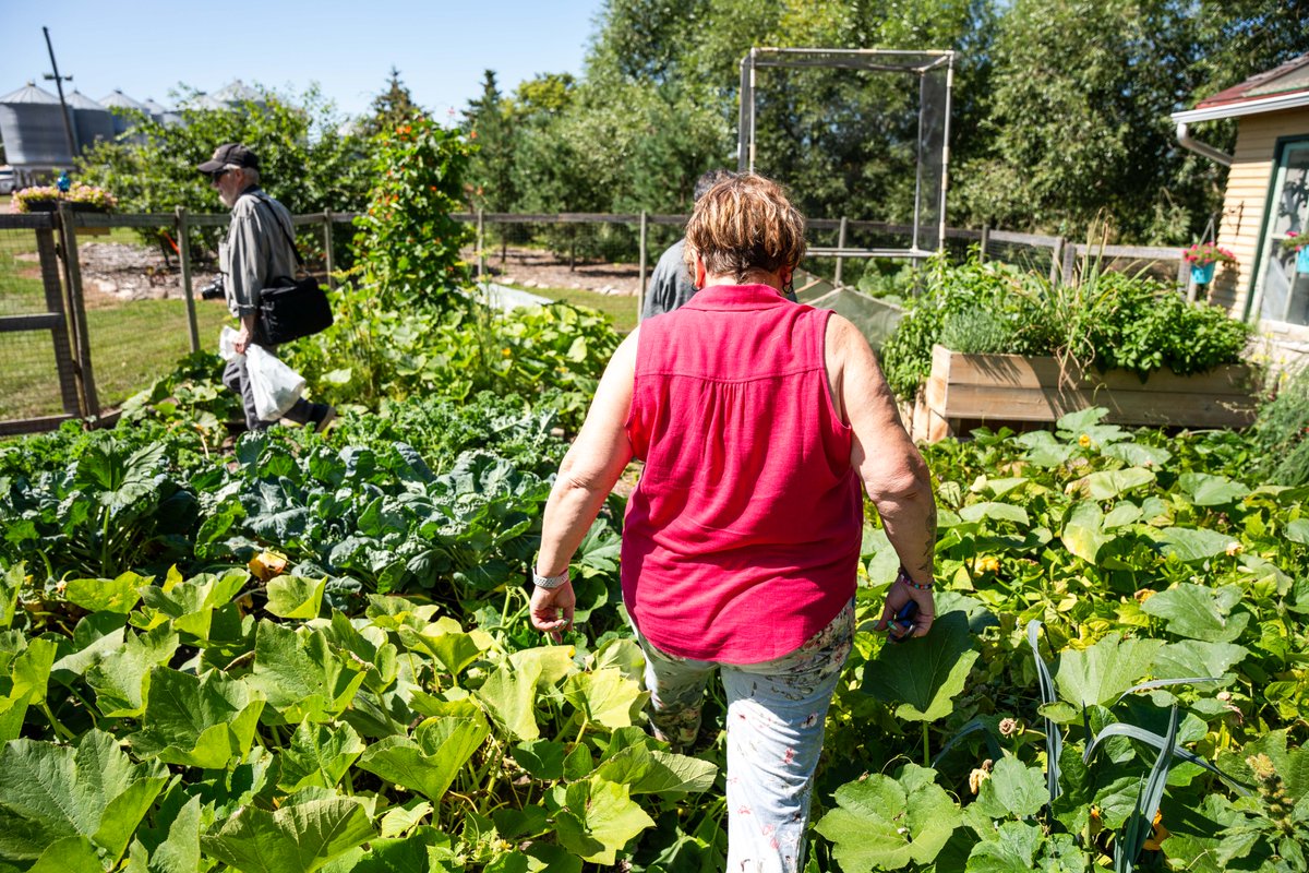 Thinking about welcoming visitors to your farm? 🚜 Saskatchewan Open Farm Days is your chance to connect with your community &amp; showcase your operation! Take our Host Readiness Quiz to see if you're ready: skopenfarmdays.ca/host-farms/are…