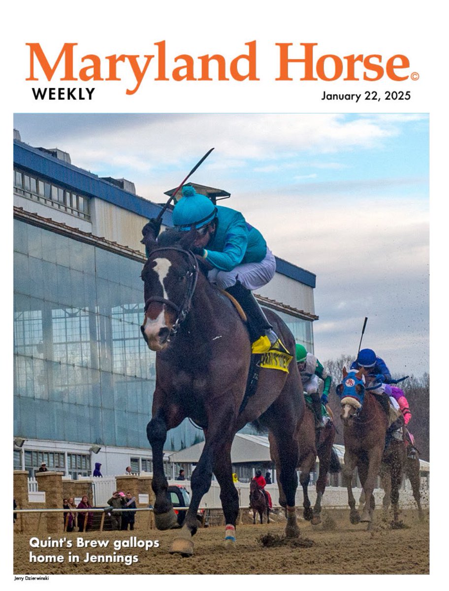 Start your weekend off by reading the latest edition of Maryland Horse Weekly! 

We take a look at impressive stakes winners from the past week as well as the latest news from the sales world!

Click the link in our bio for more!