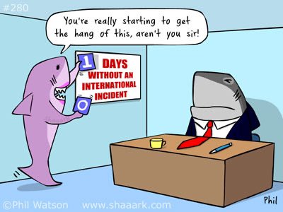 Shaaark! tweet media