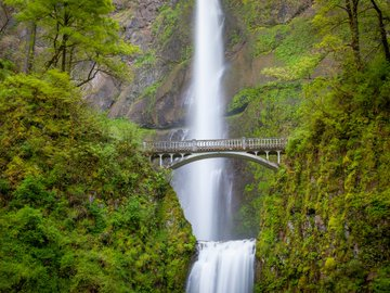 tulipzxcv1's tweet image. 50 beautiful places you should visit in America