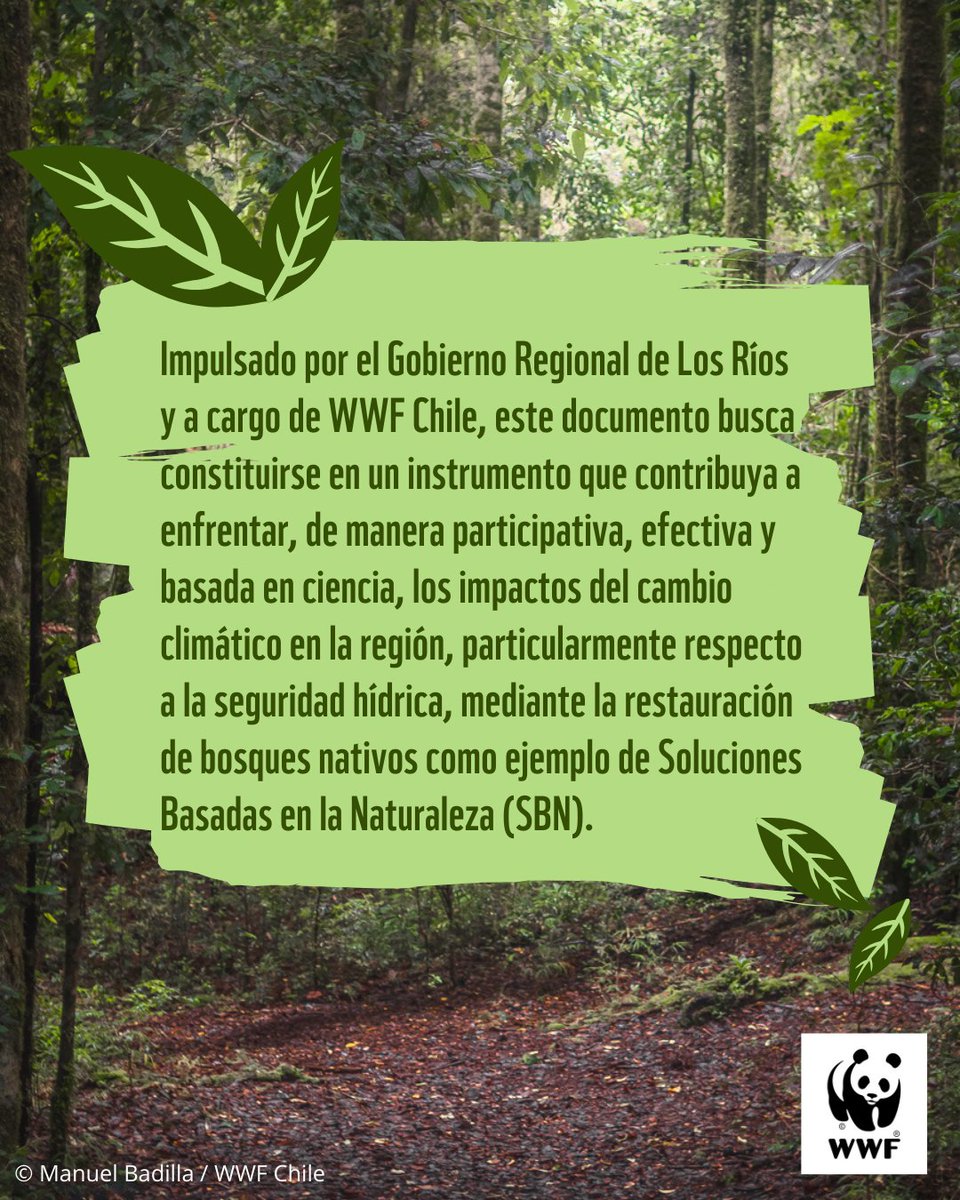 WWF Chile tweet media