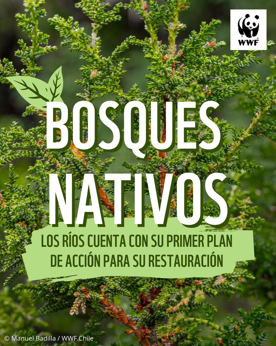 WWF Chile tweet media