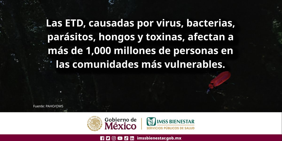 IMSS_Bienestar's tweet photo. En el Día Mundial de las Enfermedades Tropicales Desatendidas, recordamos que estas enfermedades son prevenibles y tratables con acceso a agua potable, buenas prácticas de higiene y atención médica oportuna.

Acude a tu Unidad de Salud #IMSSBienestar para recibir orientación, cuidar tu salud y proteger a tu comunidad.