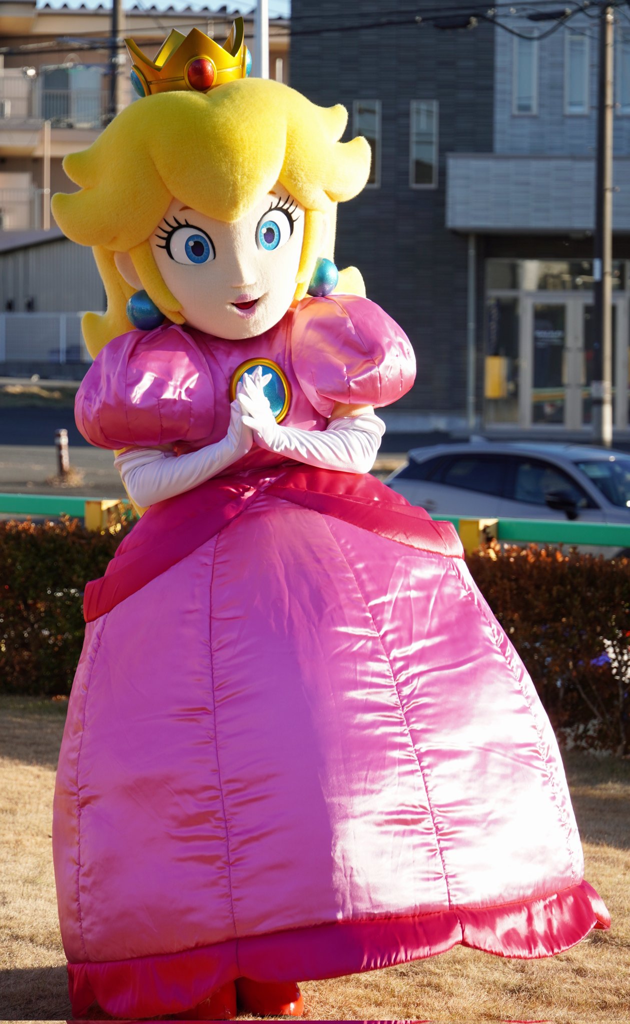 ピーチ姫 ピーチ姫 Princess Peach on X: