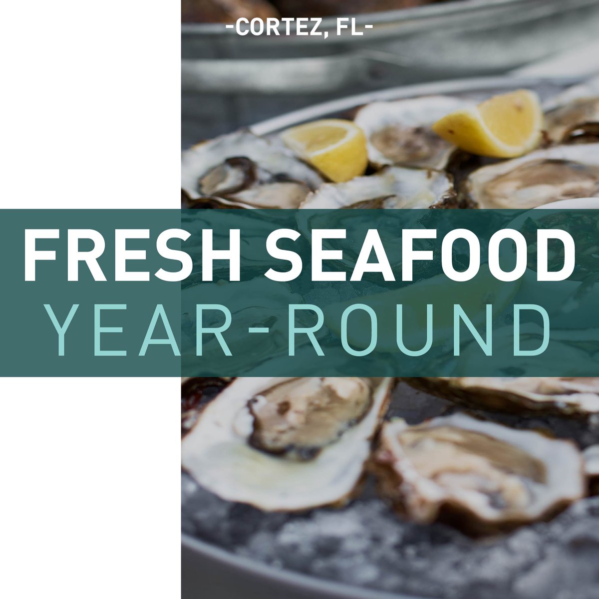 Step into the heart of Cortez, Florida’s historic fishing village.

 Here, you’ll find fresh, local seafood served year-round at charming Cortez restaurants, where the catch of the day is always on the menu. From boat to plate, it’s a true taste of sustainable coastal living ☀️