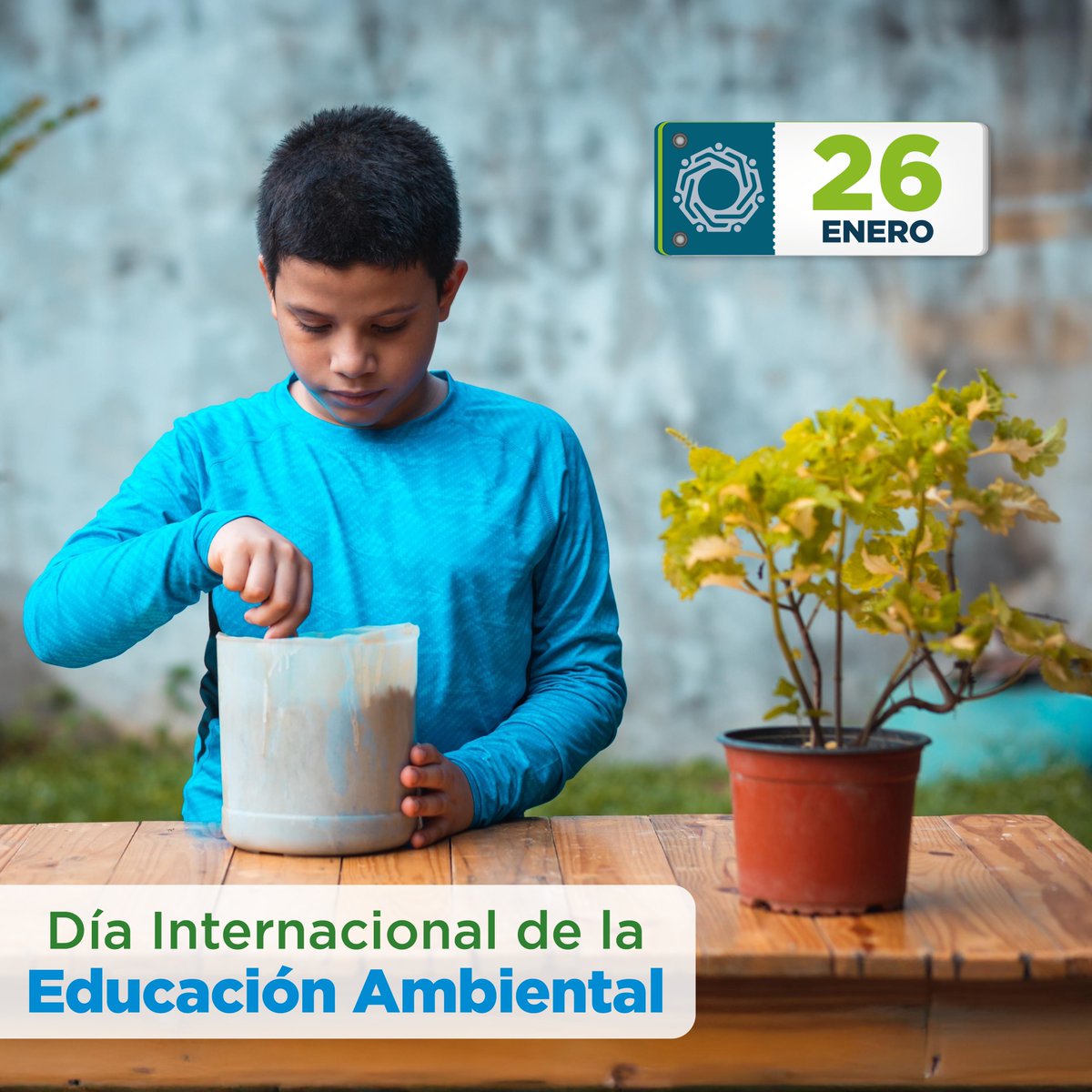 SEAJalisco's tweet photo. Día Internacional de la Educación Ambiental | Educar para la protección de los recursos naturales también implica combatir la corrupción. #Agendaanticorrupción y #Medioambiente 💧🌳🌍 https://t.co/WUQuwy7UJs