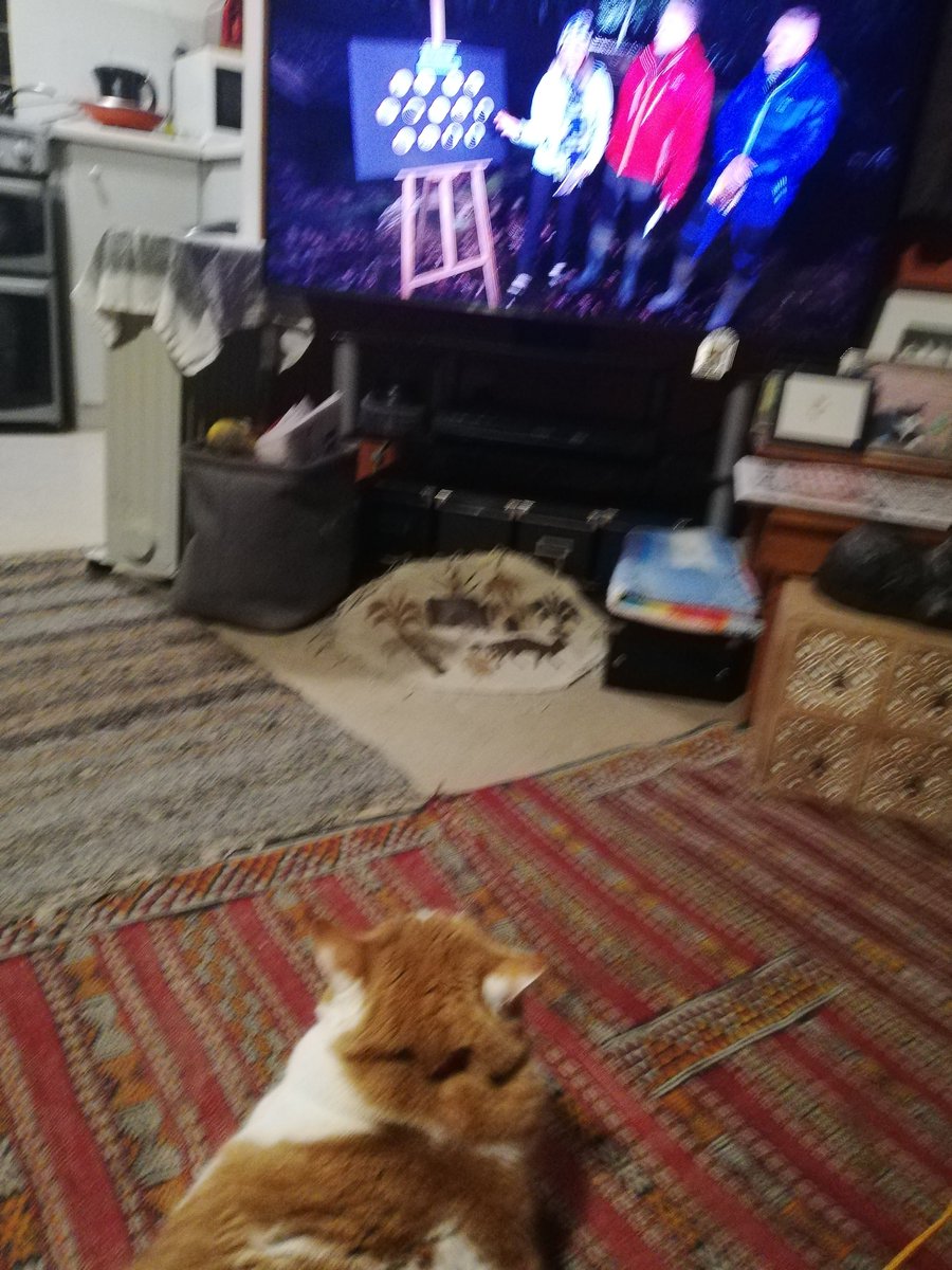 Gus watching Winter watch !