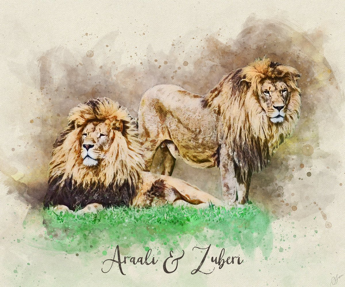 It’s been a while, but we are bringing back #FanArtFriday! We just love sharing 🖼️ from our followers!!

So here is a stunning piece from Sesim Art of Araali and Zuberi.

Have a great weekend!

#daretocare #carerescuetexas #nonprofit