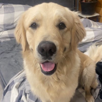 RyanBaiton's tweet photo. #NewProfilePic https://t.co/A4lWyqjPPT