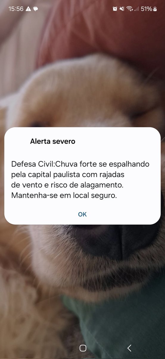 ericlucianofc's tweet photo. Todo mundo comentando do Alerta severo, na semana do Natal para o Ano novo na praia eu recebi varios de lá https://t.co/6cCbPzMMLO