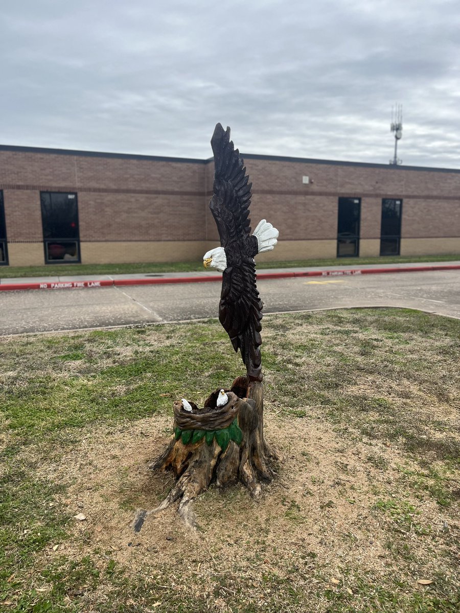 BayEaglesSoar's tweet photo. Eagles Soar! Thank you Della Merideth for carving our Eagle and her babies. https://t.co/mhQXZrdQqk