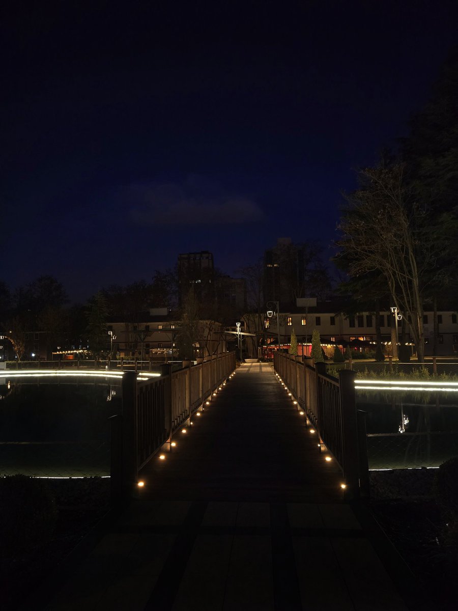 bana bir kitabı anımsatıyor'