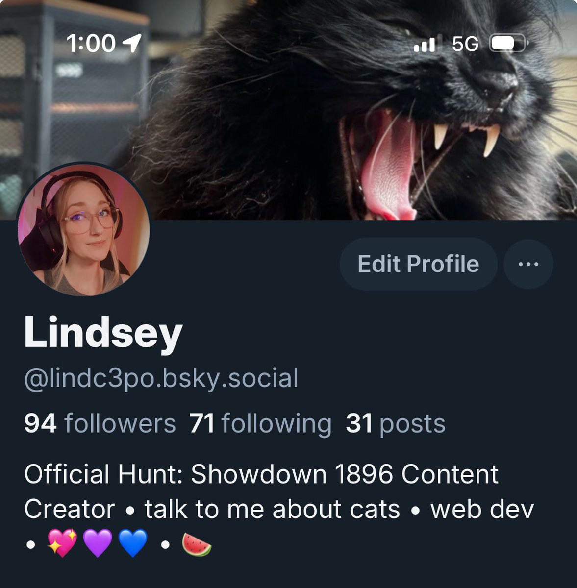 Lindsey tweet media