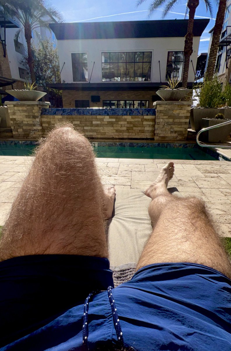 🦖 Nick-Rex 🦖 tweet media