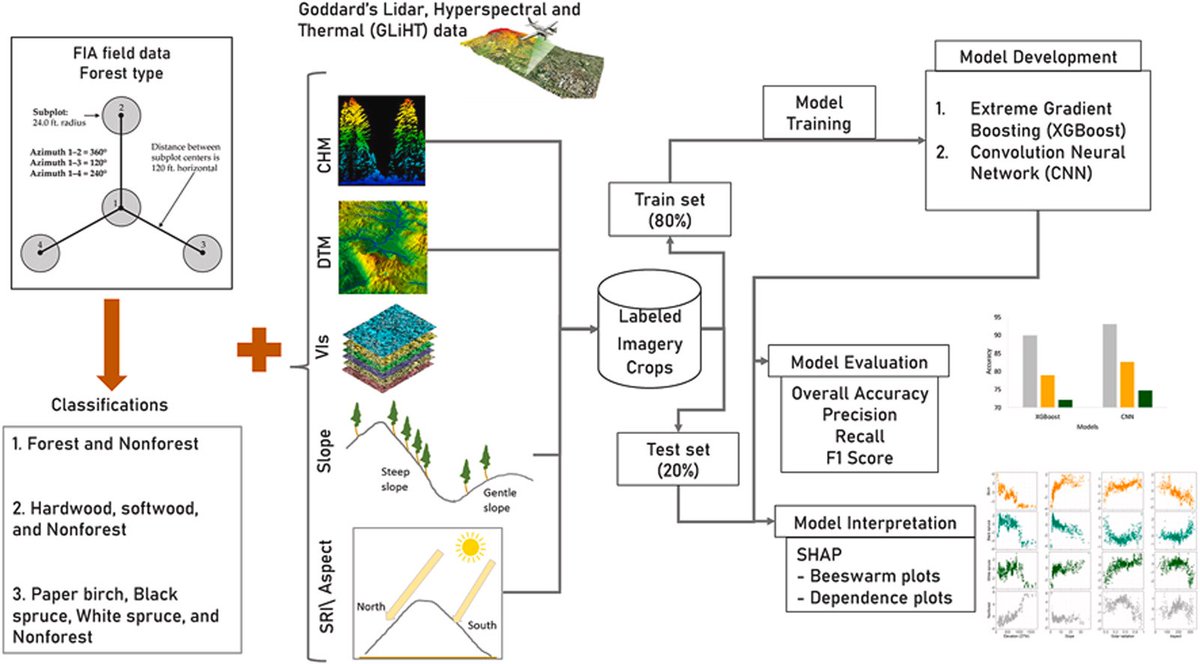 📢New: Khatri-Chhetri et al. Synthesizing field plot and airborne remote sensing data to enhance national forest inventory mapping in the boreal forest of Interior Alaska.
-Fine grained 1m maps of forest type
-CNN outperformed XGBoost
#GLiHT #Lidar #NFI 
🔗sciencedirect.com/science/articl…