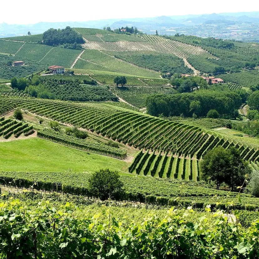 Francine Segan (@francinesegan) on Twitter photo Discover sights, foods & wines of Piedmont, Italy's fabulous northern region via <a href="/Roundtable_92NY/">Roundtable</a> with <a href="/FrancineSegan/">Francine Segan</a> #visitpiemonte <a href="/ENIT_italia/">ENIT S.p.A. š®š¹</a> For more info: roundtable.org/live-courses/h⦠Discover sights, foods & wines of Piedmont, Italy's fabulous northern region via <a href="/Roundtable_92NY/">Roundtable</a> with <a href="/FrancineSegan/">Francine Segan</a> #visitpiemonte <a href="/ENIT_italia/">ENIT S.p.A. š®š¹</a> For more info: roundtable.org/live-courses/hā¦